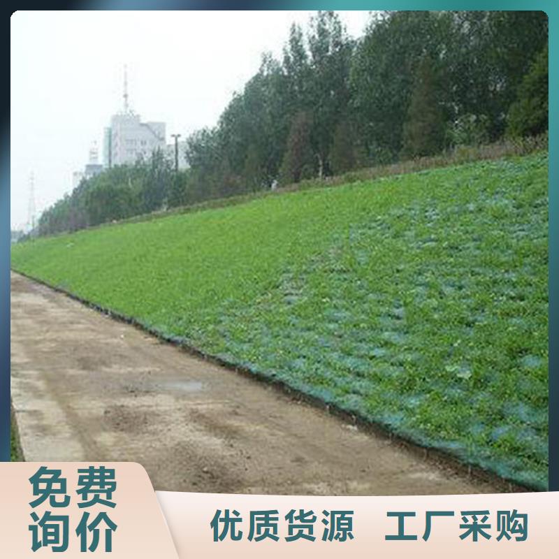 三维植被网-通风降噪丝网销售的是诚信