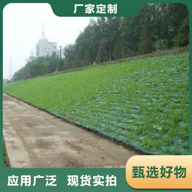 三維植被網(wǎng)_雙向土工格柵應用廣泛