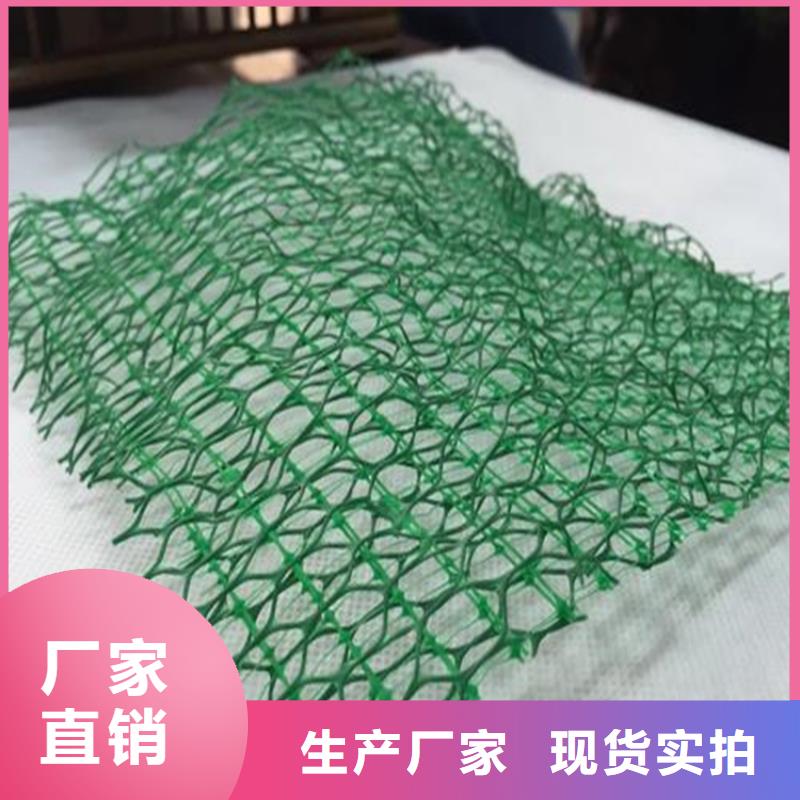 三維植被網防滲膜廠家直銷直供