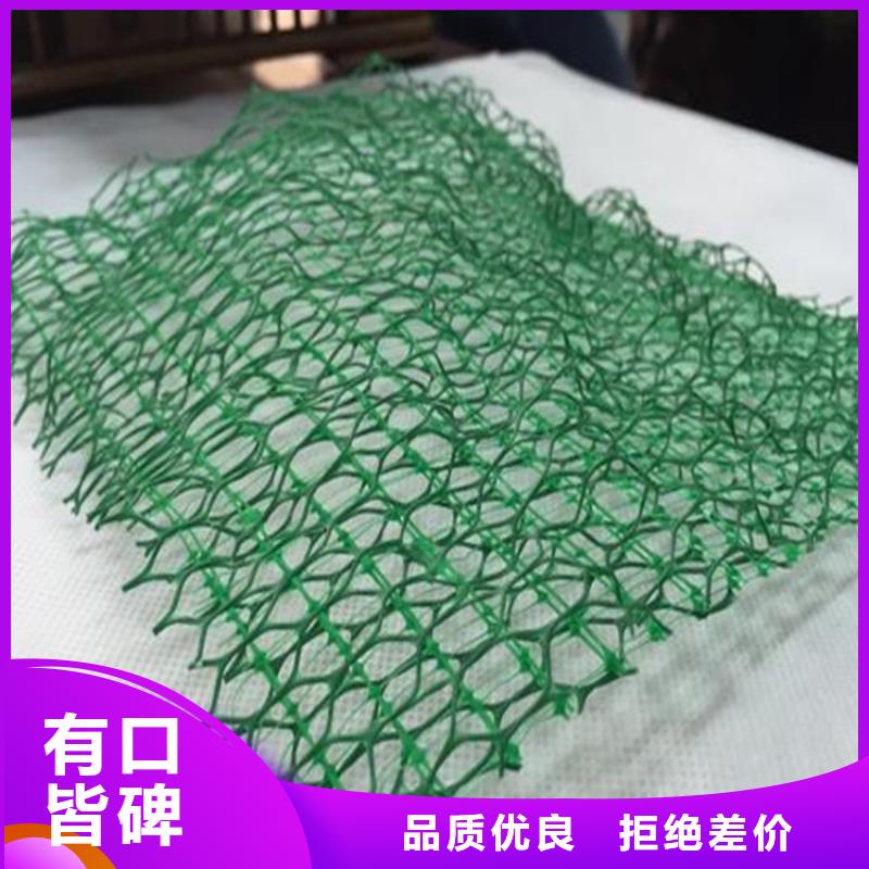 三維植被網(wǎng)_雙向土工格柵應用廣泛