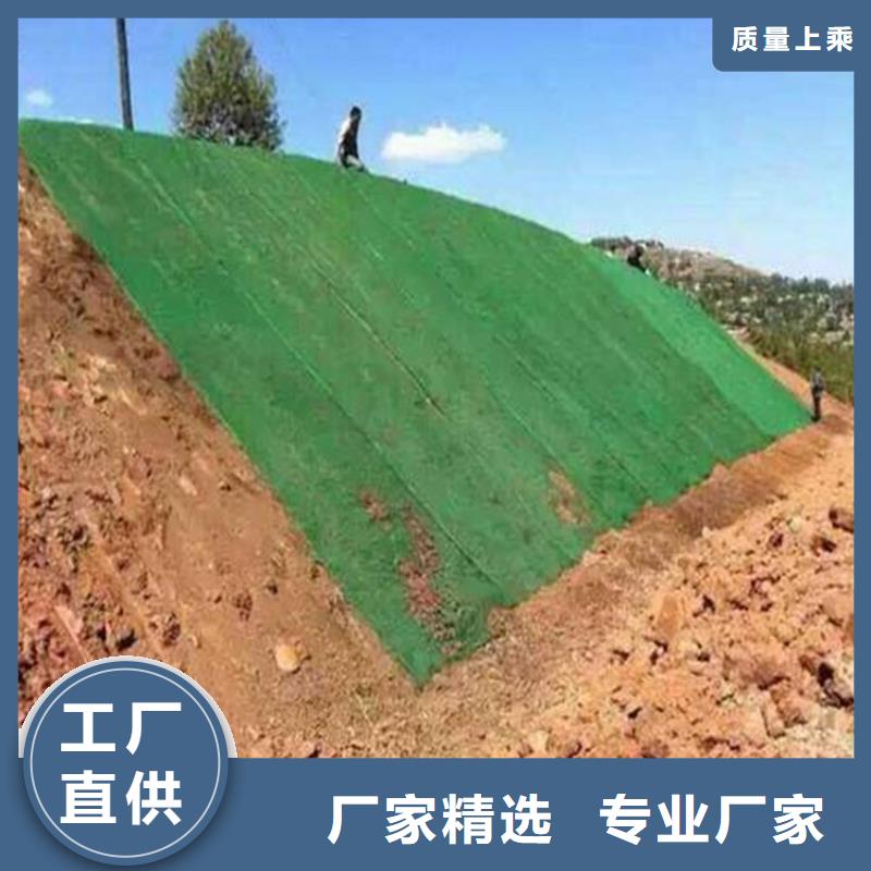 三维植被网-通风降噪丝网销售的是诚信
