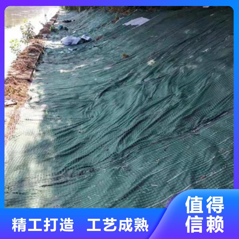 植物生態防護毯-加筋抗沖生態毯-稻草纖維毯