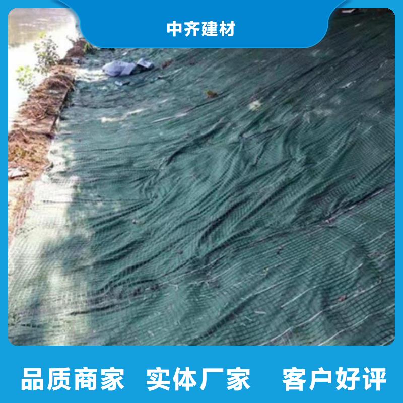 椰纖植生毯-椰絲綠化毯