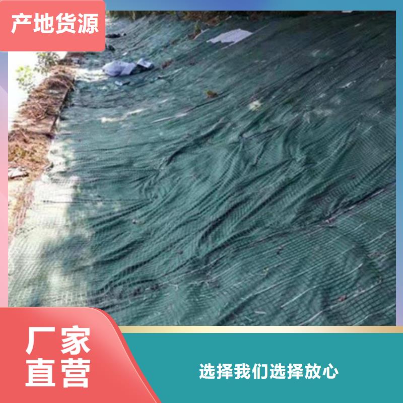 加筋抗沖生態(tài)毯種類齊全