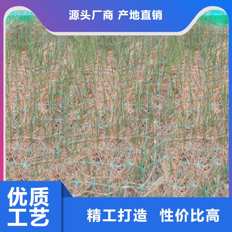椰丝毯防渗膜每个细节都严格把关