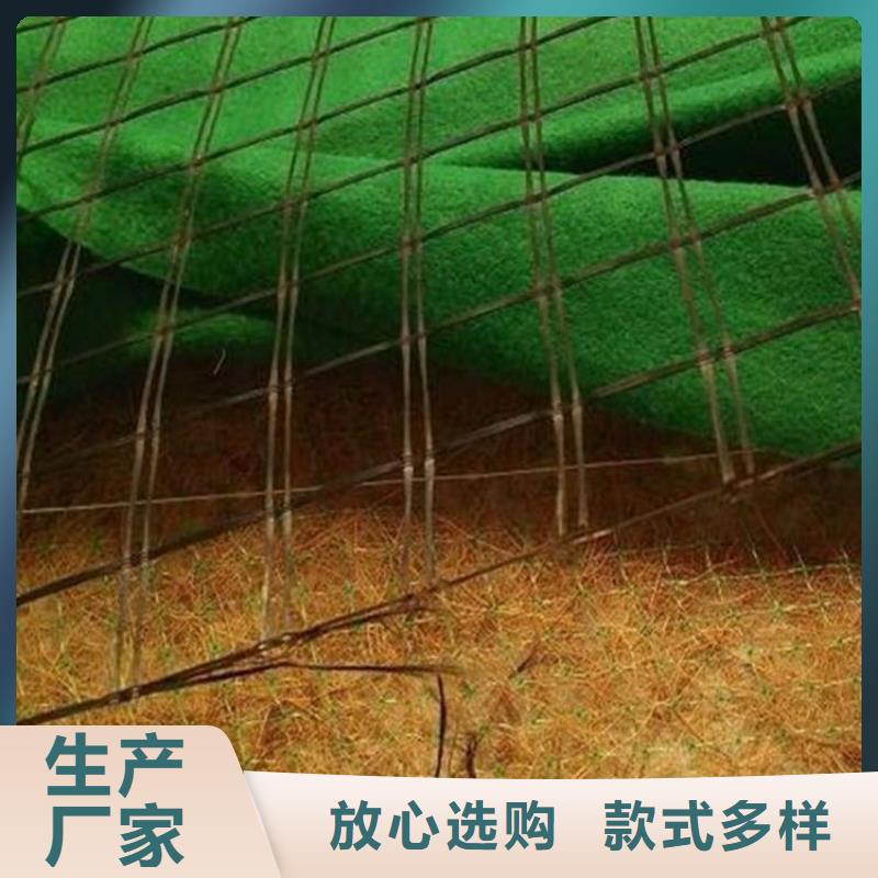 植物生態防護毯-椰纖植生毯