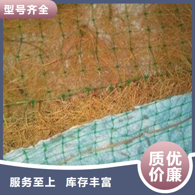 椰絲毯_土工膜實地大廠