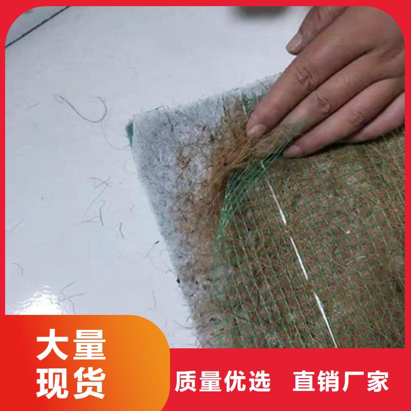 加筋抗沖生態毯-植物生態防護毯
