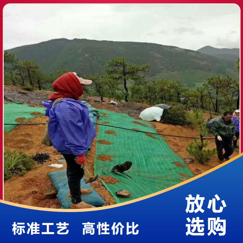 椰纖植生毯