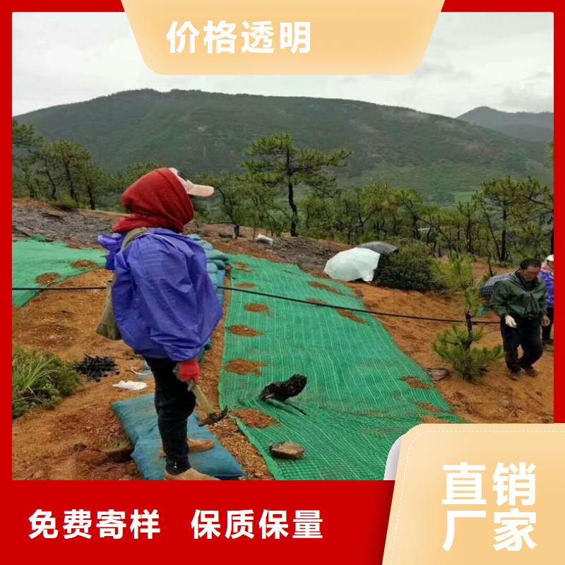土工格栅视频-土工格栅|武威市|凉州|古浪|定西|白银|甘南|张掖|平凉|酒泉|兰州