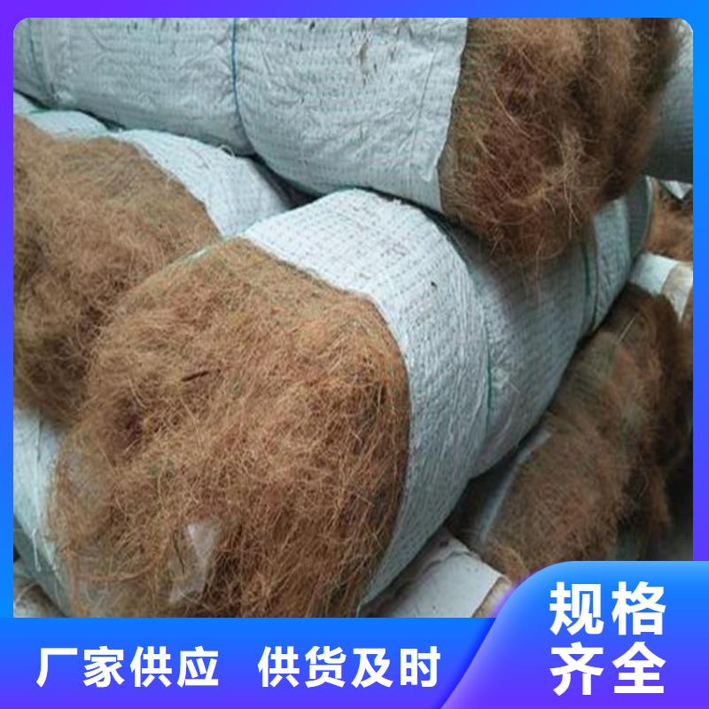 植生椰絲毯-護坡植被植草毯