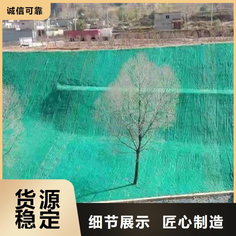 加筋抗沖生態(tài)毯草籽椰絲毯