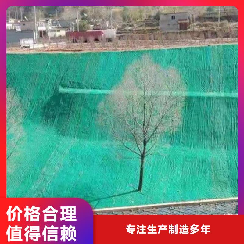 土工格栅视频-土工格栅-中齐建材(宝鸡市分公司)服务区域岐山|麟游|西安|汉中|商洛|榆林|延安|铜川