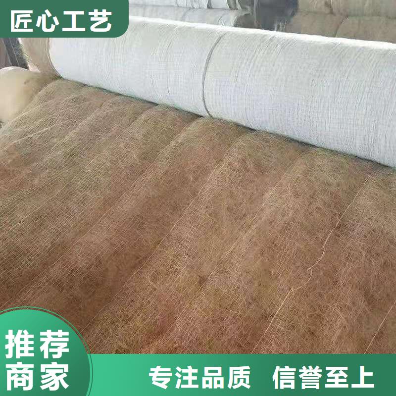椰絲毯_土工膜實地大廠