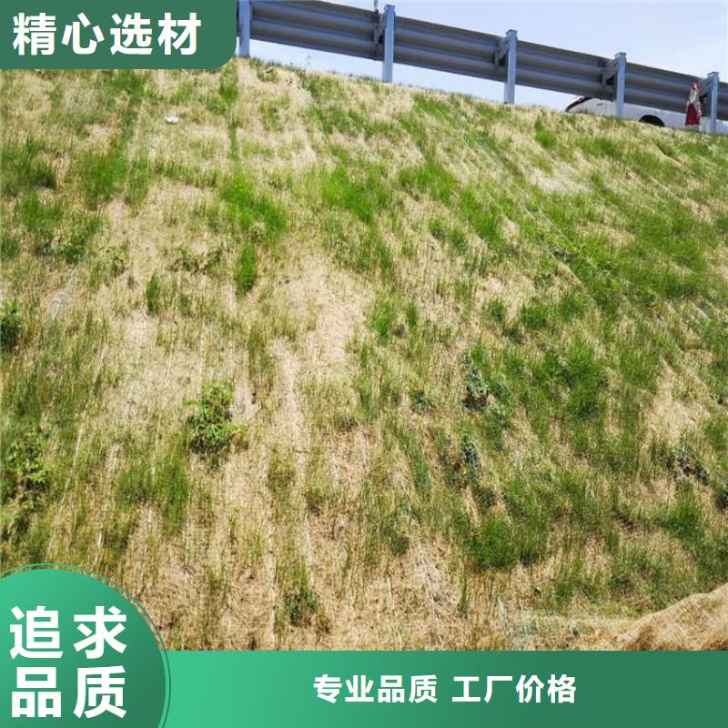 椰絲環保草毯綠化植被墊