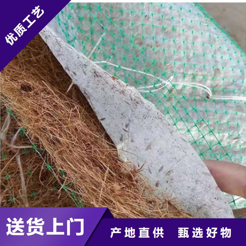 椰纖植生毯-生態(tài)環(huán)保草毯
