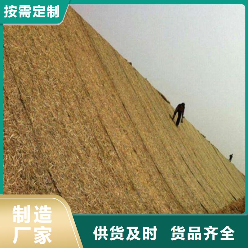 椰纖植生毯-生態草毯