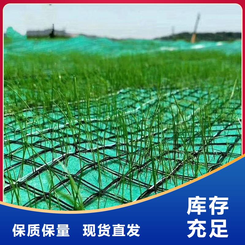 植生椰絲毯-植物生態防護毯-椰絲綠化保護毯