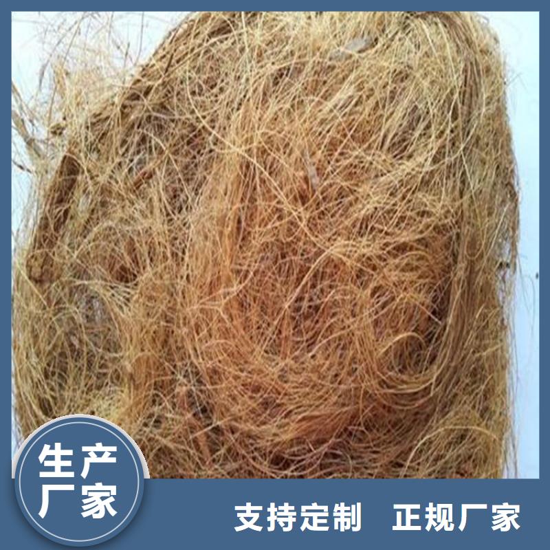 椰纖植生毯型號