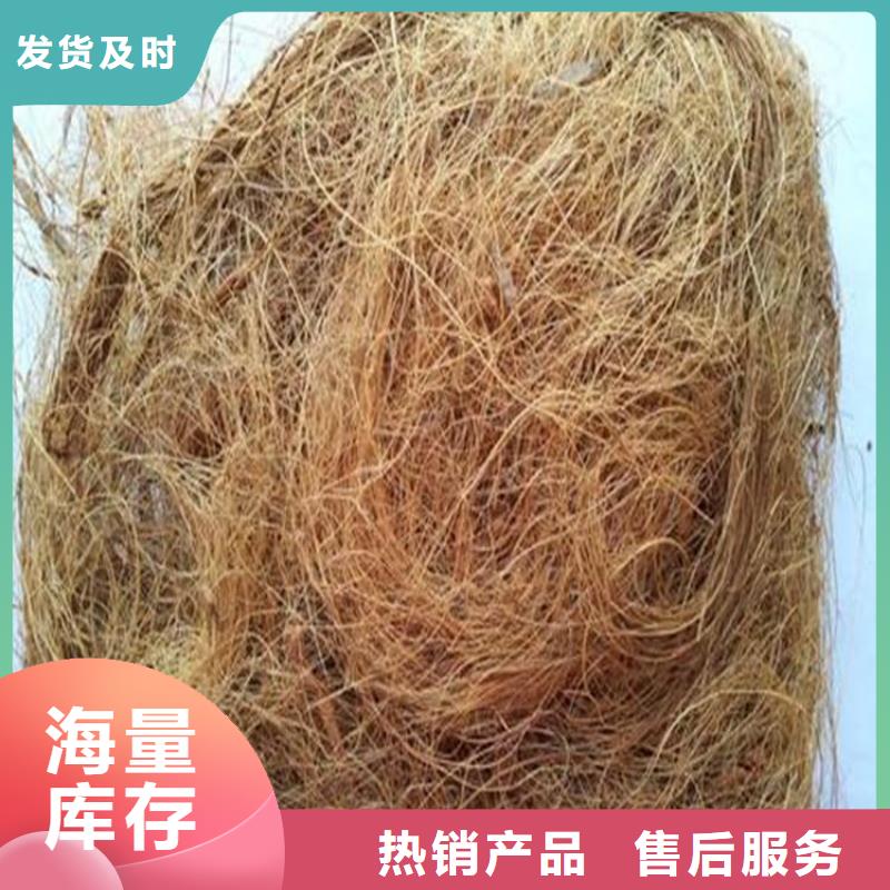 加筋抗沖生態毯-生態環保草毯-椰絲植物毯