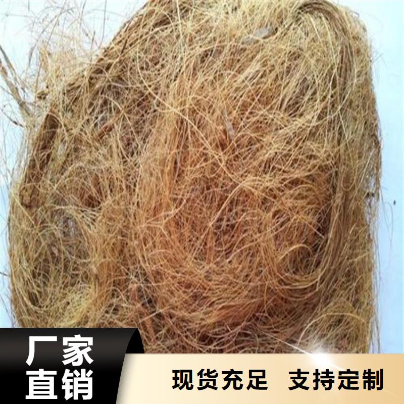 土工格栅视频-土工格栅-中齐建材(宝鸡市分公司)服务区域岐山|麟游|西安|汉中|商洛|榆林|延安|铜川