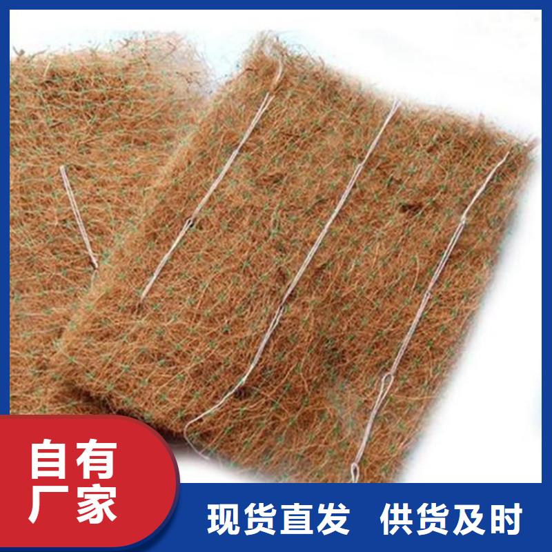土工格栅视频-土工格栅_甘肃省武威市市场覆盖古浪|民勤|酒泉|临夏|金昌|陇南|张掖|白银等