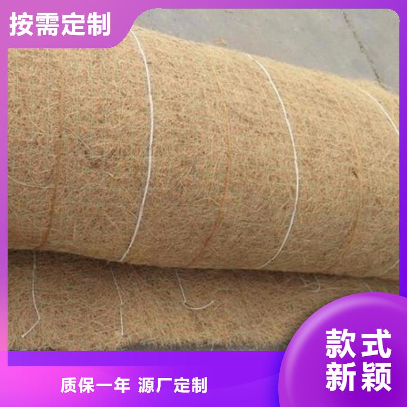 生態(tài)環(huán)保草毯-護(hù)坡植被植草毯-環(huán)保植被墊