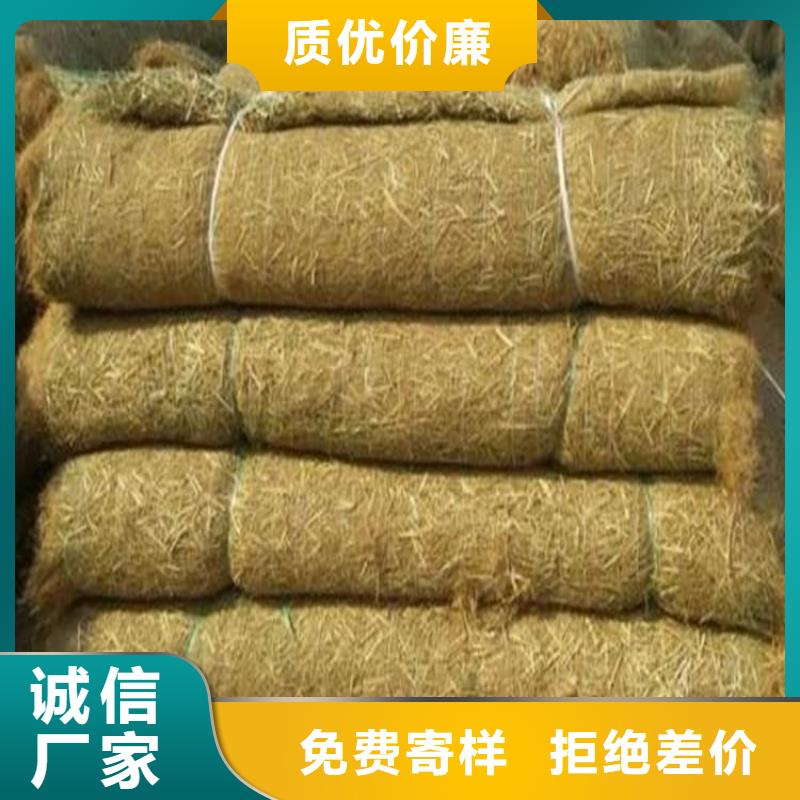 植物生態防護毯價格資訊-已更新