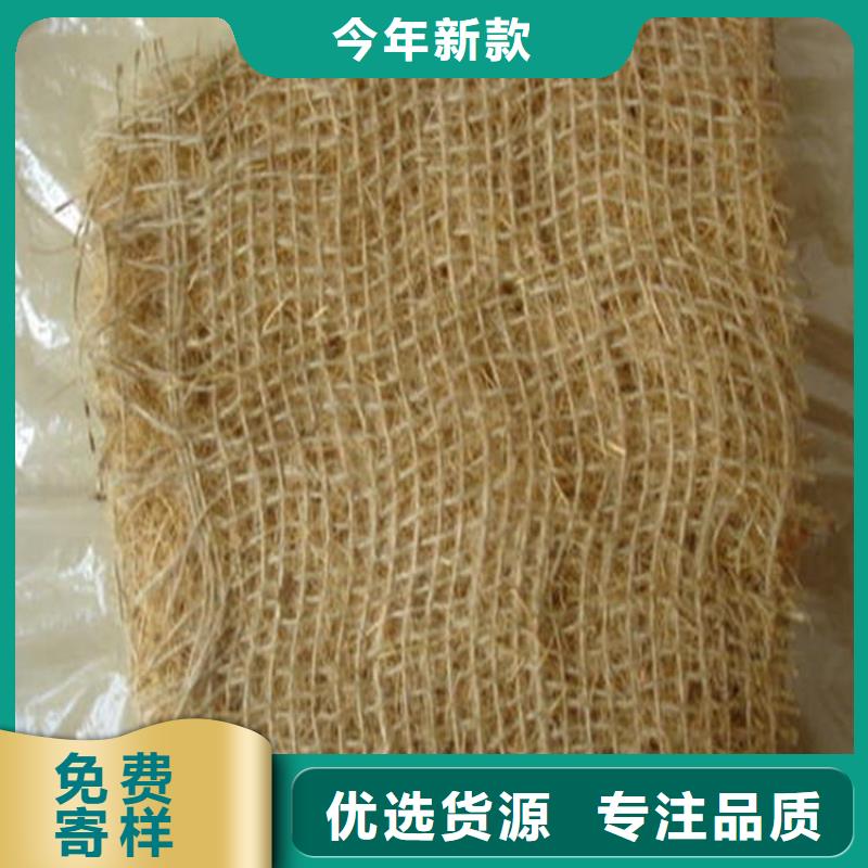 植物生態(tài)防護毯-護坡植被植草毯-草種抗沖生物毯