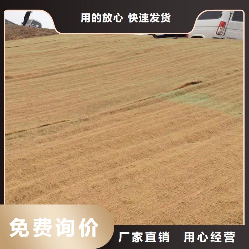 椰絲毯_機織布廠家銷售