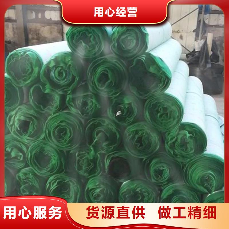 加筋抗沖生態毯-植被纖維毯