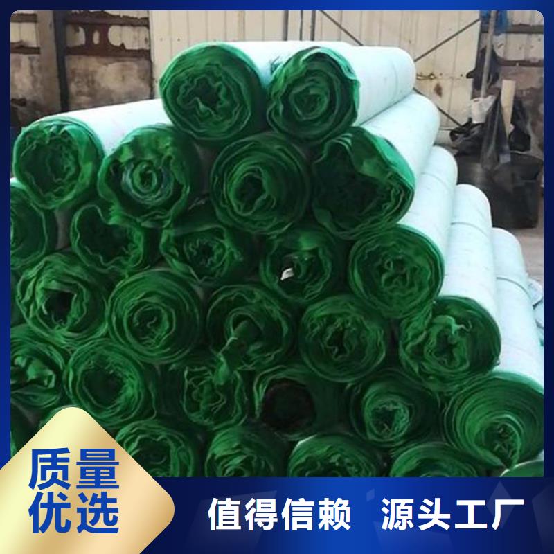 植物生態防護毯-麻椰固土毯