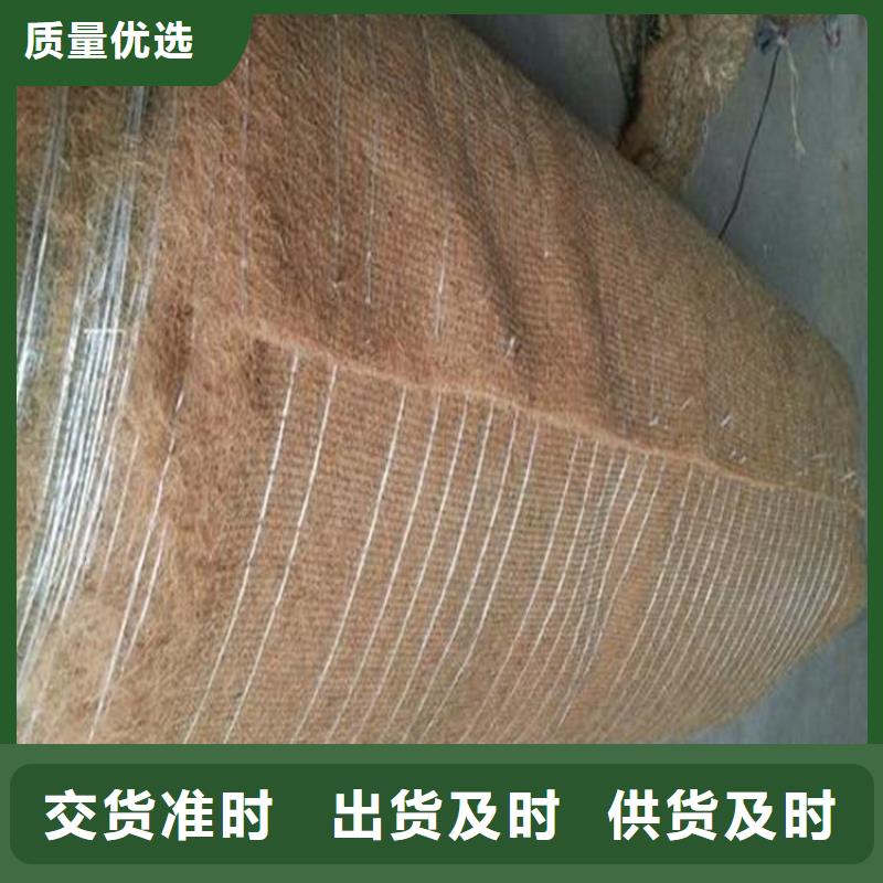 草種植生毯-帶草籽環保草毯