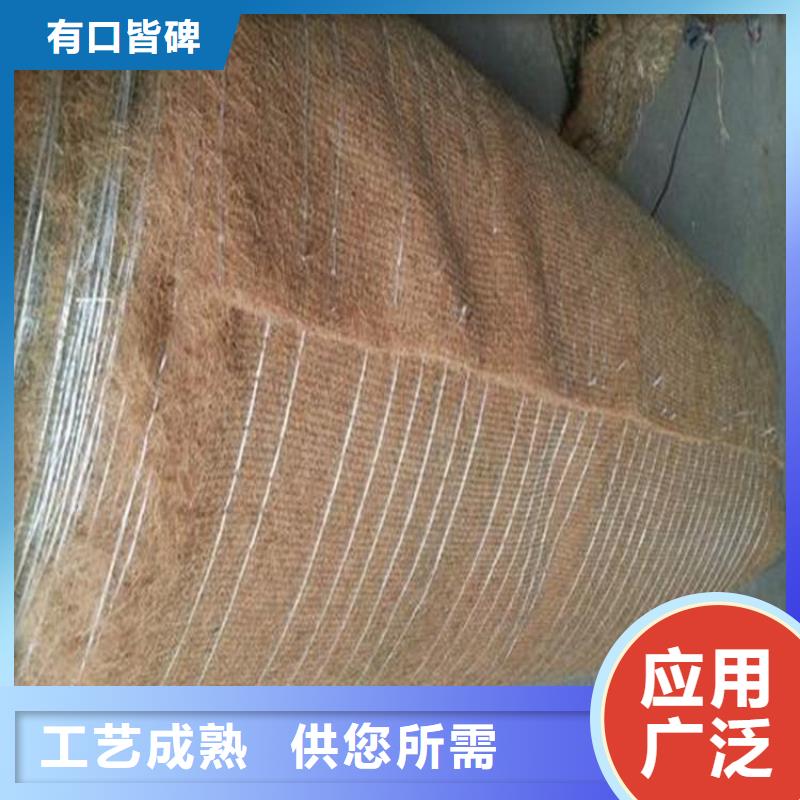 植生椰絲毯-護坡植被植草毯