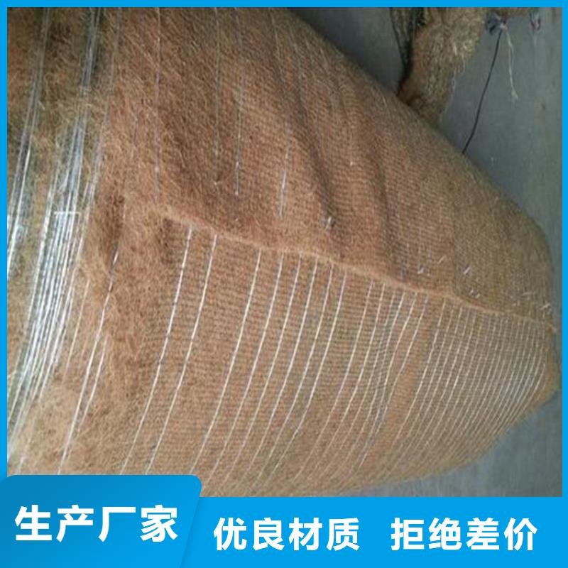 植生椰絲毯-加筋抗沖生態毯-河道護坡植生毯