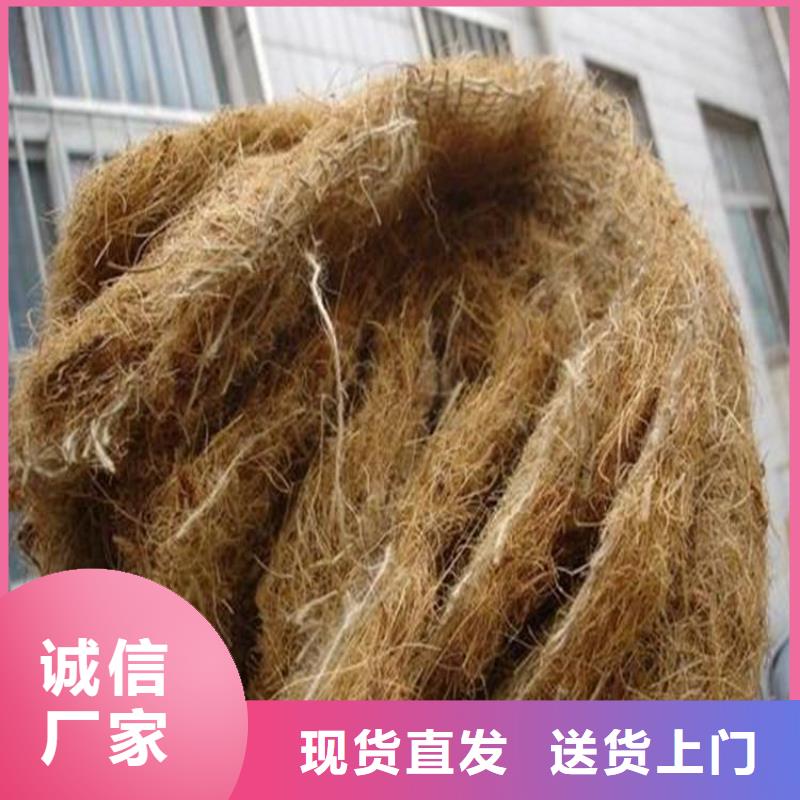 植物生態防護毯-麻椰固土毯
