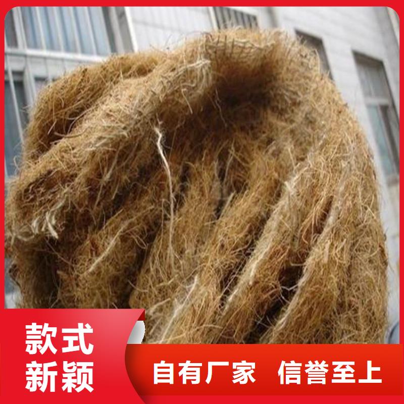 椰纖植生毯