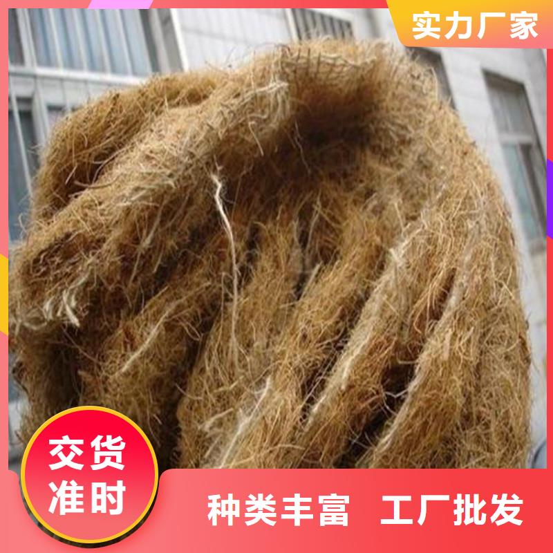 【椰丝毯】_防渗膜专业生产厂家-可发货到凤县|陈仓|咸阳|榆林|商洛|安康|延安|西安|汉中