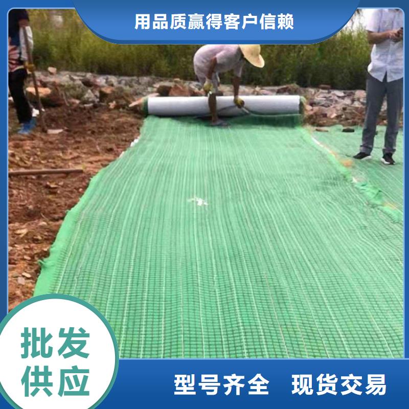 植物生態防護毯施工動態-已更新