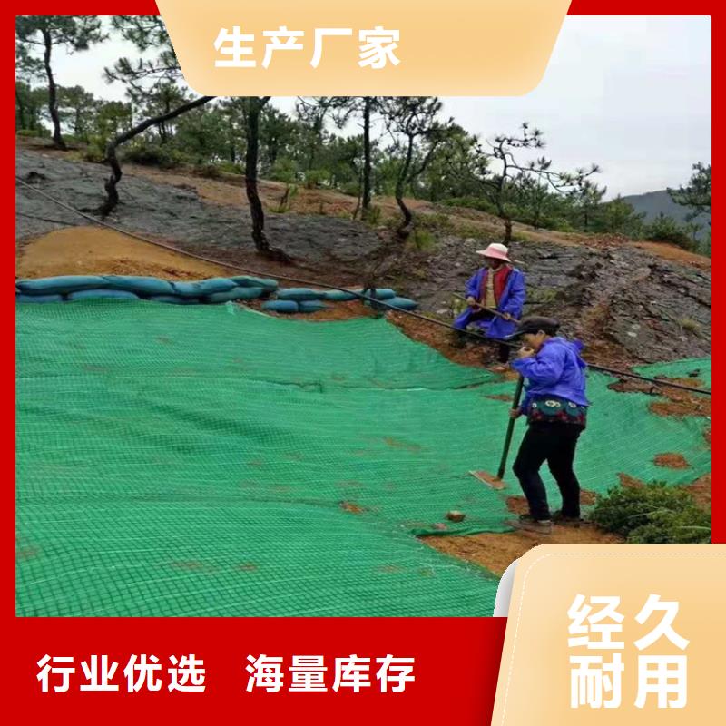 土工格栅视频-义县|古塔|铁岭|辽阳|抚顺|营口|沈阳|葫芦岛|丹东土工格栅好货直供-中齐建材(锦州市分公司)