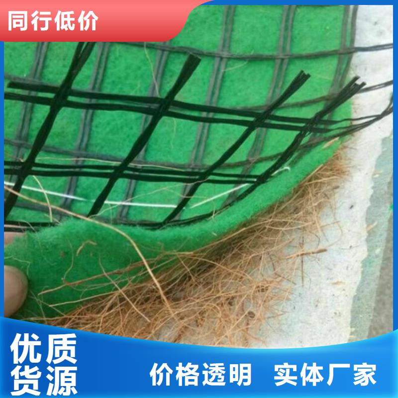 加筋抗沖生態毯-護坡植被植草毯公司新聞