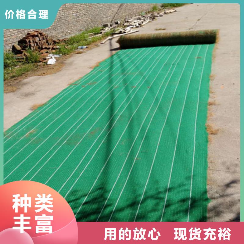 抗沖刷生物毯生態植被墊