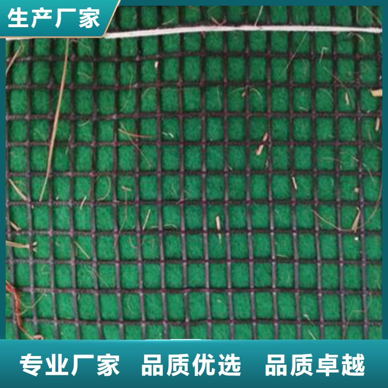加筋抗沖生態(tài)毯-植物生態(tài)防護(hù)毯
