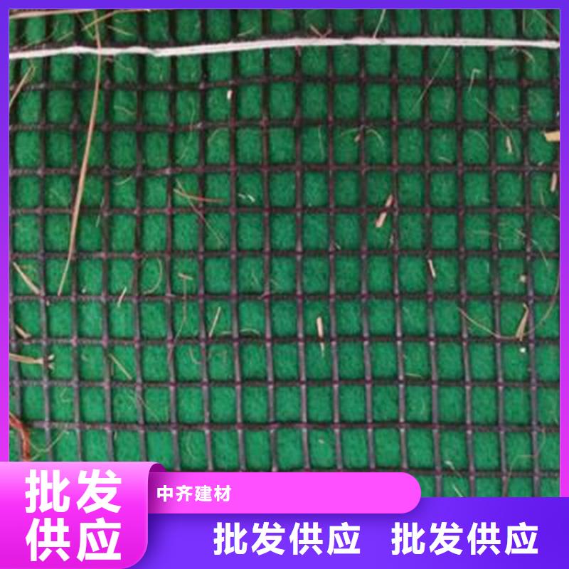 【椰丝毯】_防渗膜专业生产厂家-可发货到凤县|陈仓|咸阳|榆林|商洛|安康|延安|西安|汉中