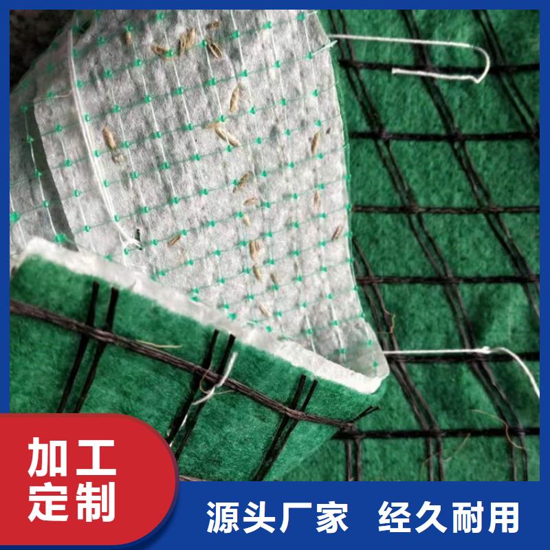 土工格栅视频-土工格栅_甘肃省武威市市场覆盖古浪|民勤|酒泉|临夏|金昌|陇南|张掖|白银等