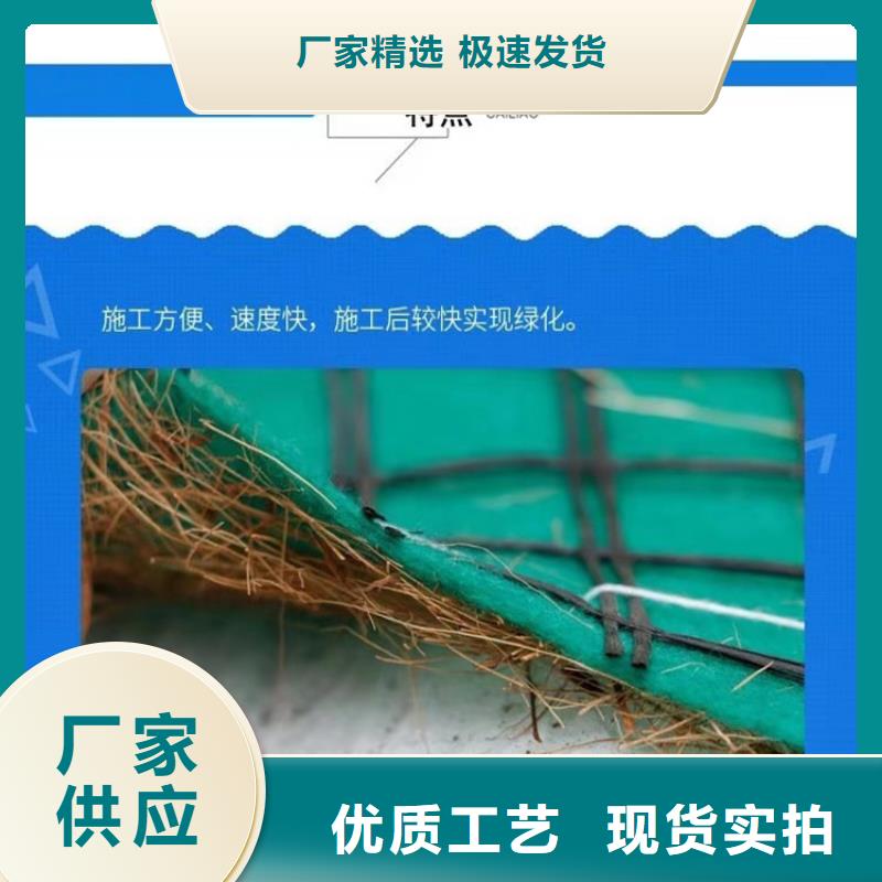 植物生態(tài)防護毯-護坡植被植草毯-草種抗沖生物毯
