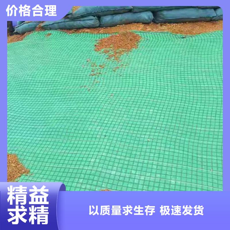 植物生態(tài)防護毯-護坡植被植草毯-草種抗沖生物毯