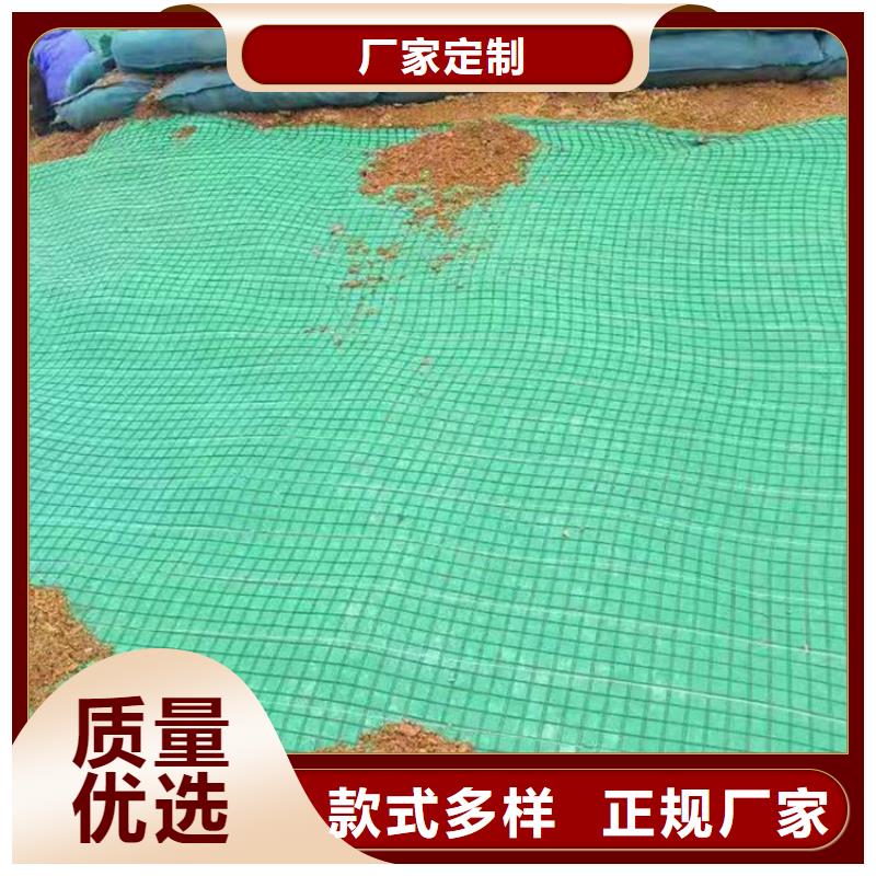 植生椰絲毯-生態環保草毯-椰絲護坡毯