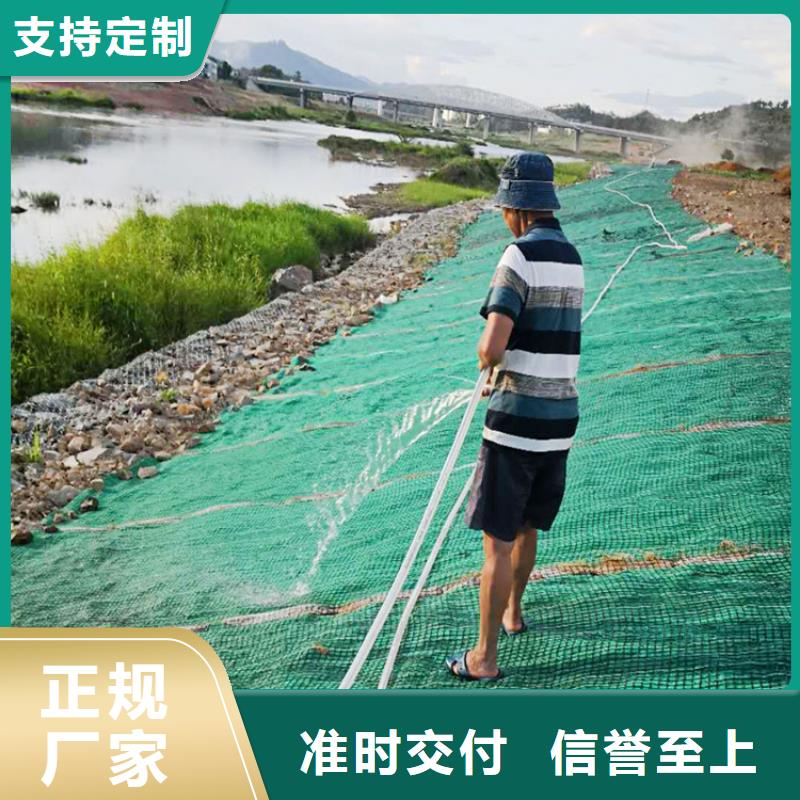 植物生態防護毯-麻椰固土毯
