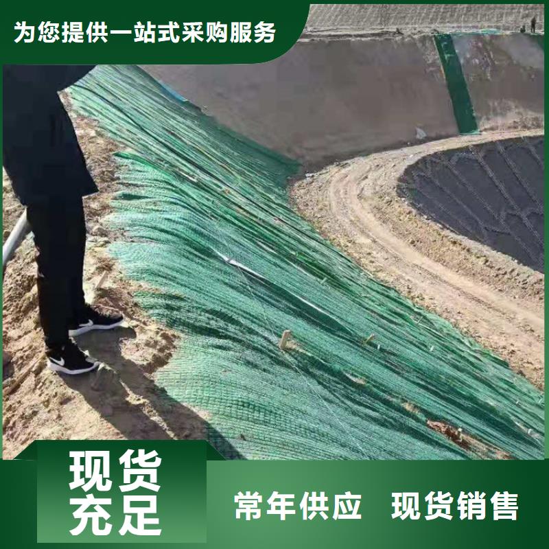 加筋抗沖生態毯-植被纖維毯